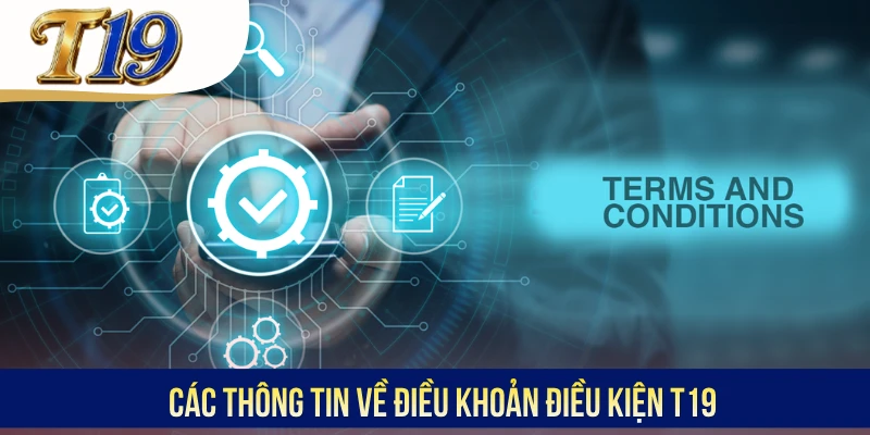 Các thông tin về điều khoản điều kiện T19