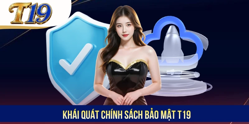 Khái quát chính sách bảo mật T19