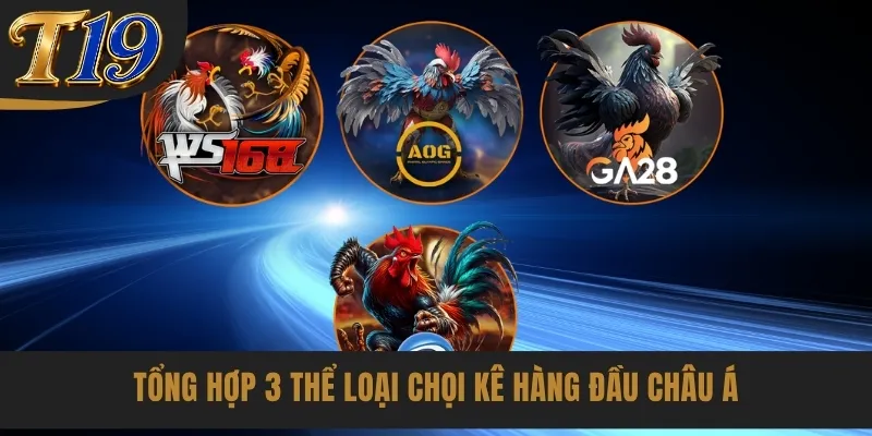 Tổng hợp 3 thể loại chọi kê hàng đầu Châu Á